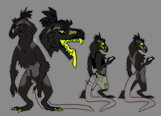 reference sheet